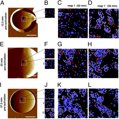 Fig. 4.