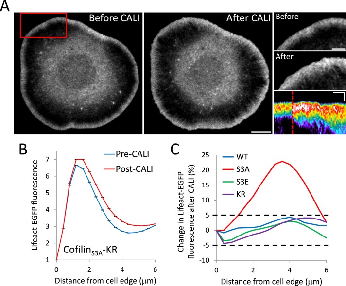 FIGURE 3: