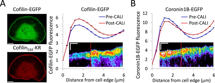 FIGURE 5: