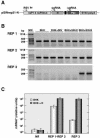 FIG. 2.