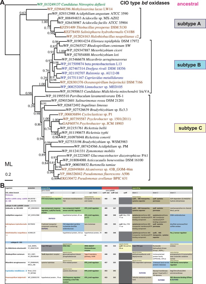 Fig. 4.—