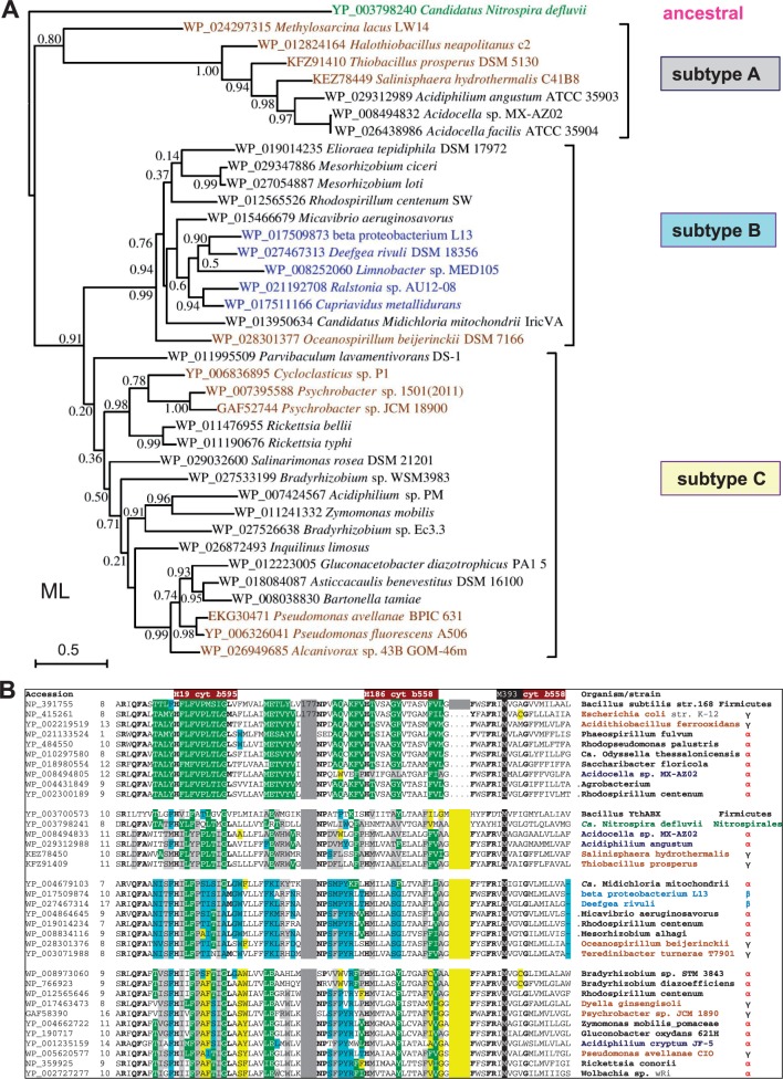 Fig. 6.—