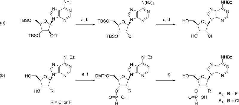 Scheme 3.