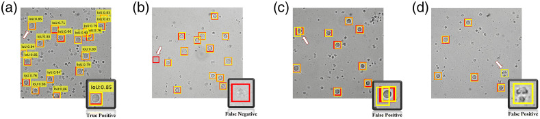 Fig. 8