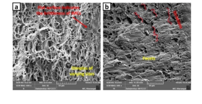 Fig. 13