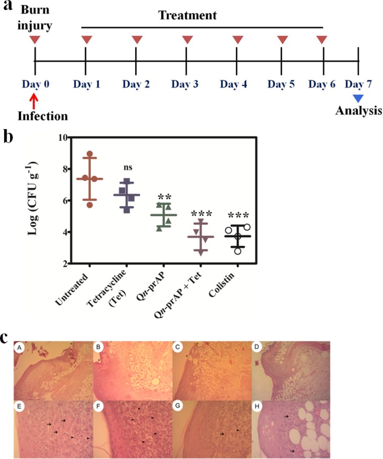 Fig 14