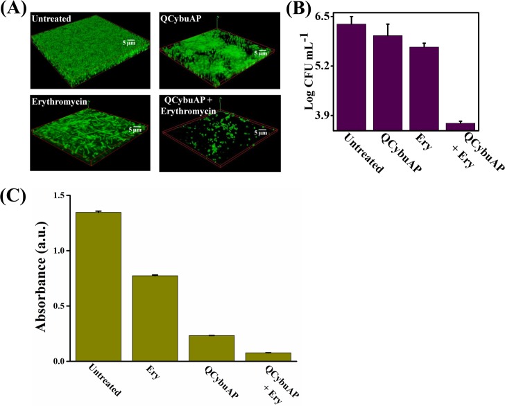 Fig 6