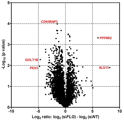 Figure 10. 