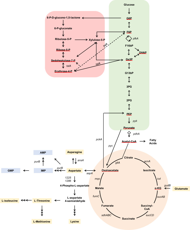 Fig. 1.