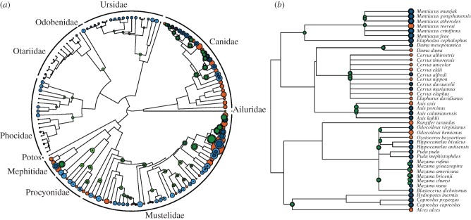 Figure 2.