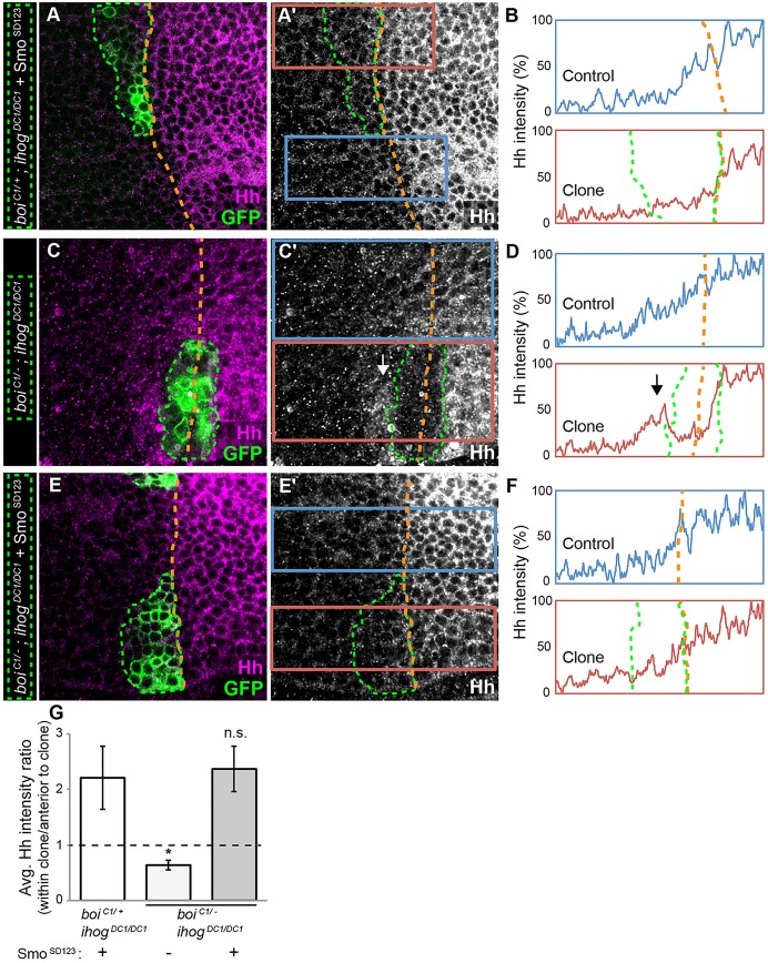 Fig. 4.