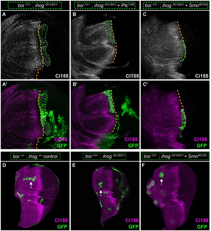 Fig. 7.