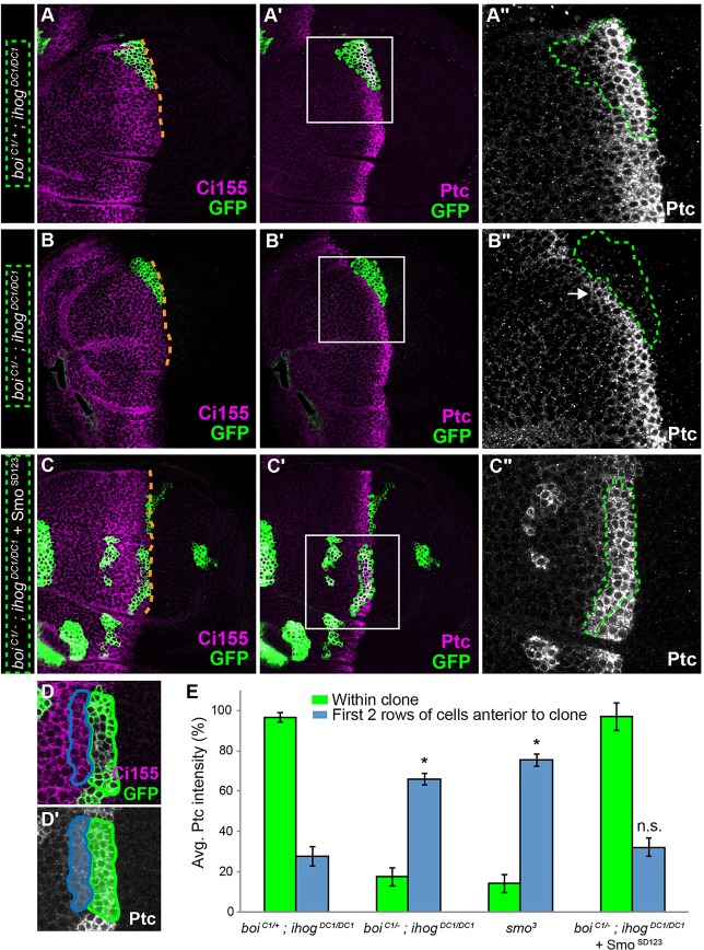 Fig. 3.