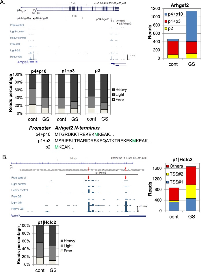 Figure 6—figure supplement 1.