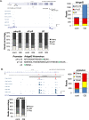 Figure 6—figure supplement 1.