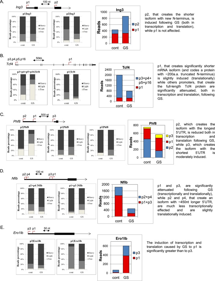 Figure 6—figure supplement 2.