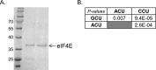 Figure 4—figure supplement 1.