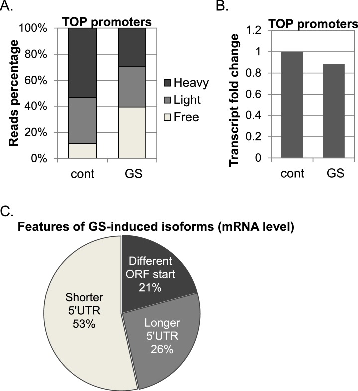 Figure 1—figure supplement 1.