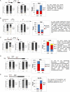 Figure 6—figure supplement 2.