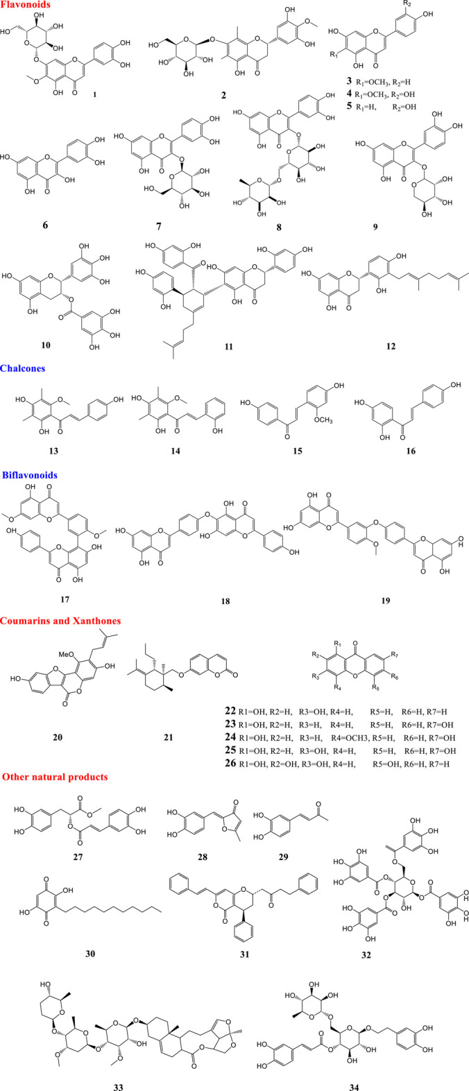 FIGURE 1