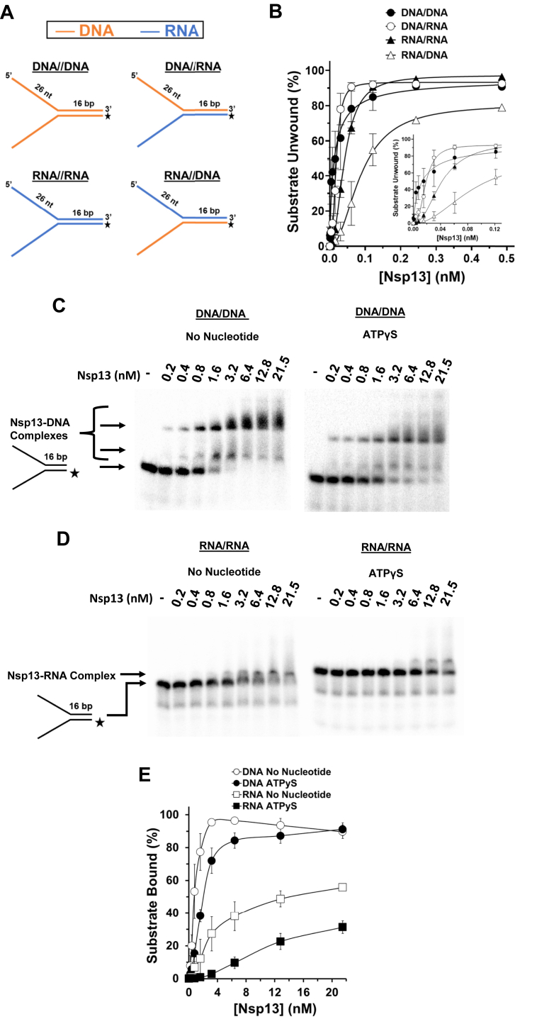 Figure 4