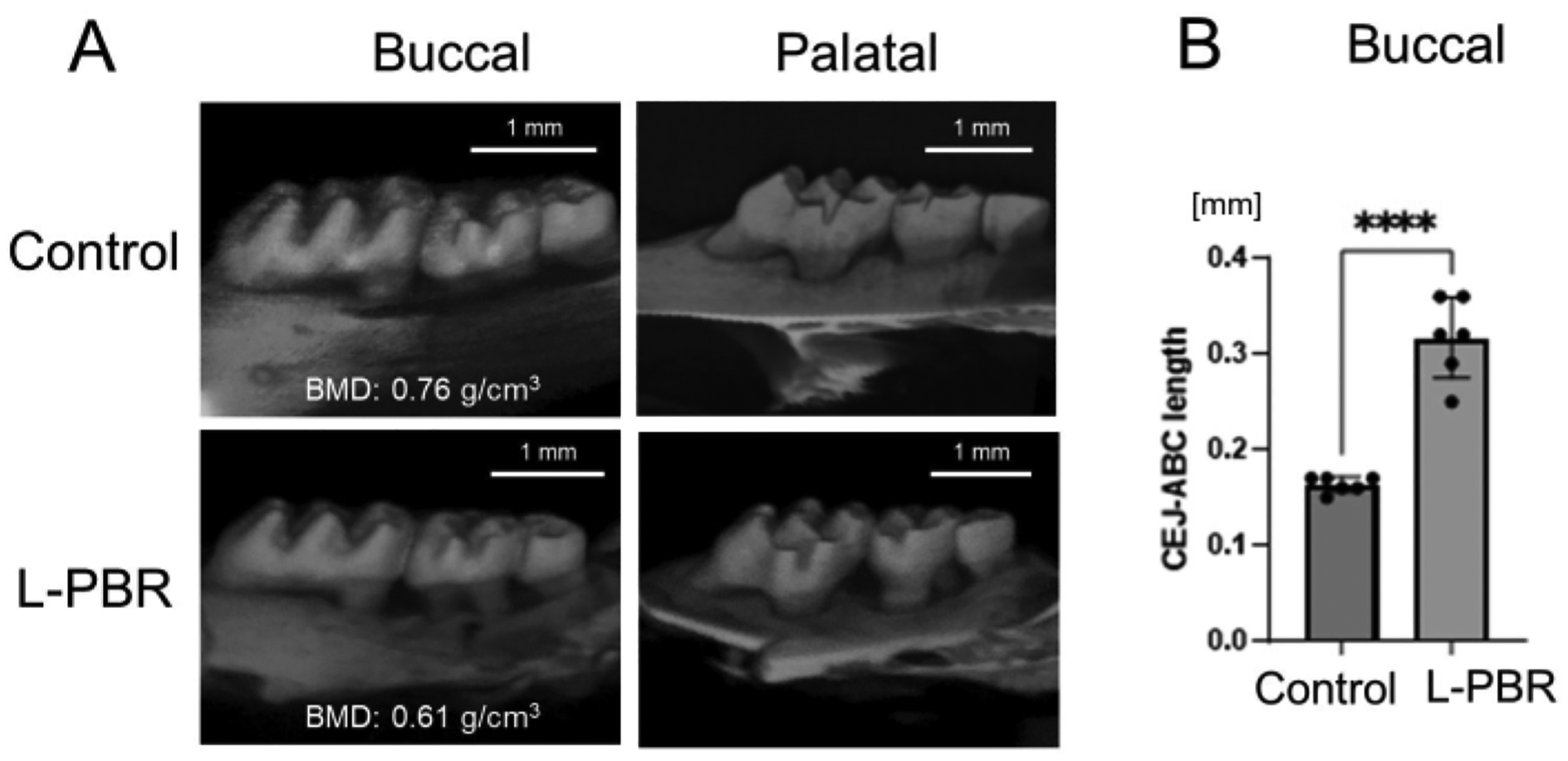 Figure 5: