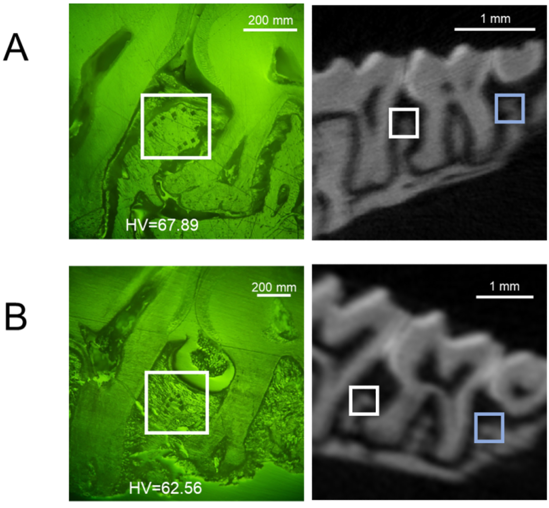 Figure 6: