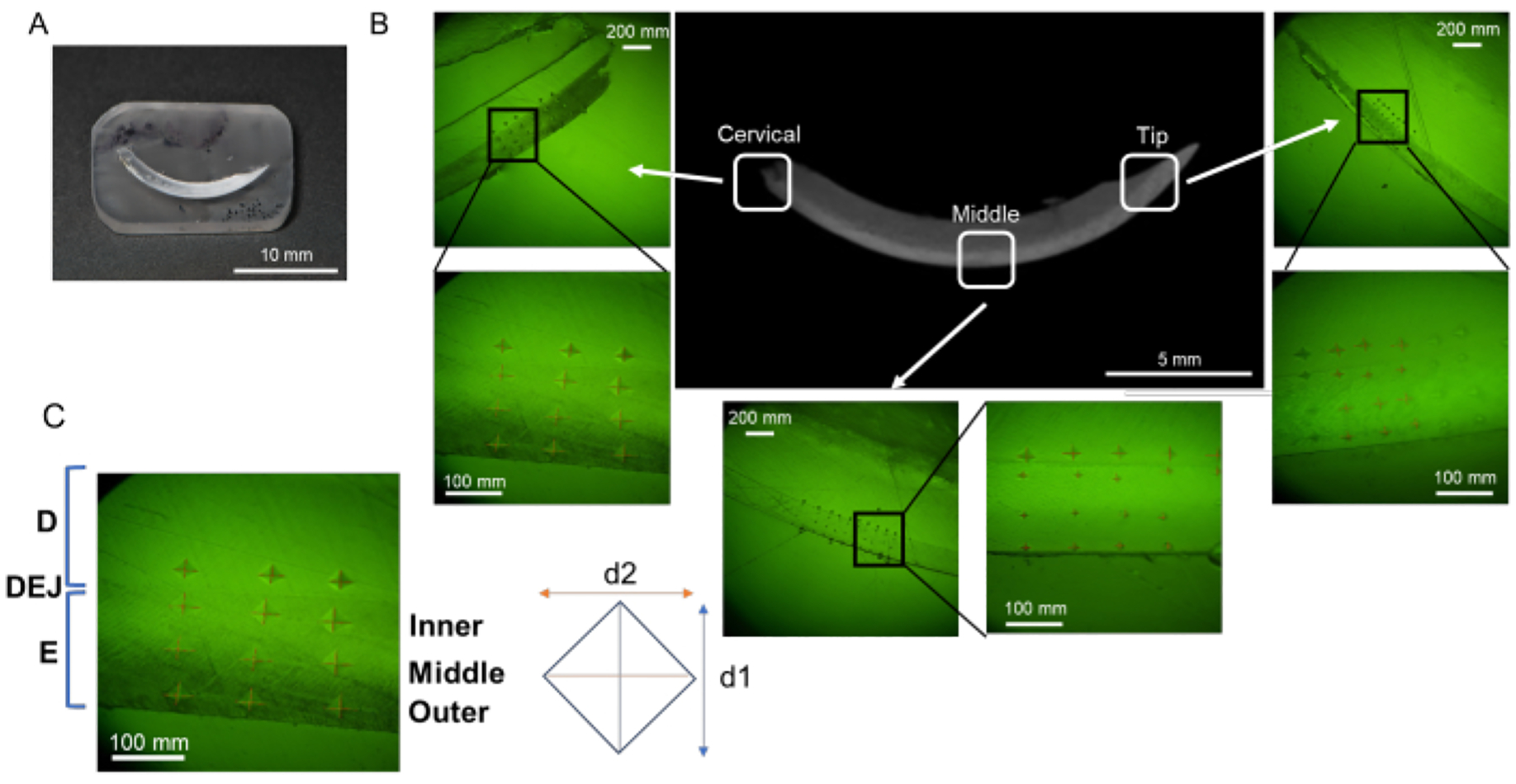 Figure 3: