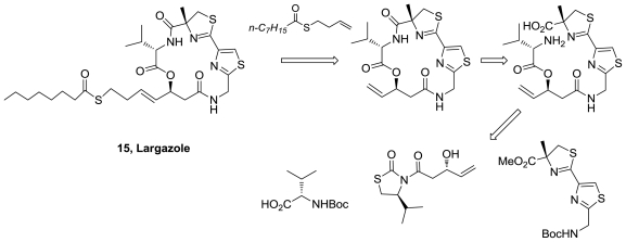 Figure 15