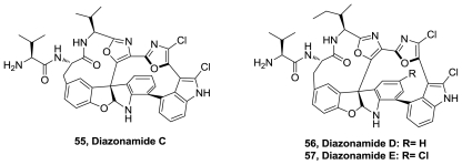 Figure 28