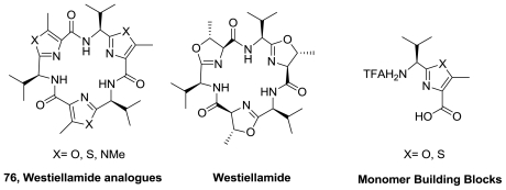 Figure 39