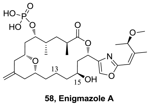 Figure 29