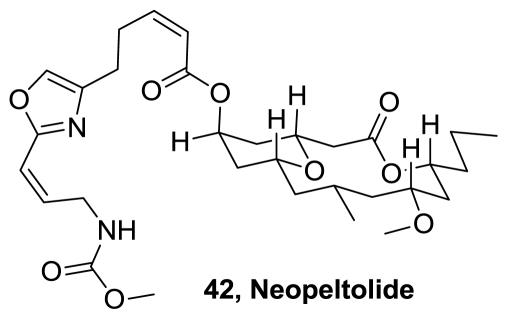 Figure 22