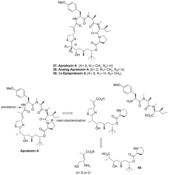 Figure 20