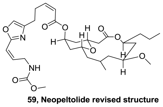 Figure 30