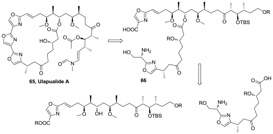 Figure 34