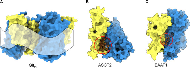 Figure 4.