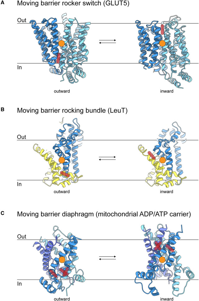 Figure 1.