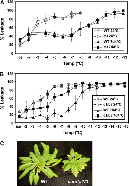 Figure 7.