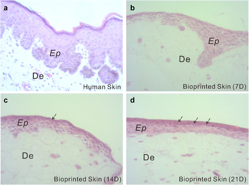 Figure 4.