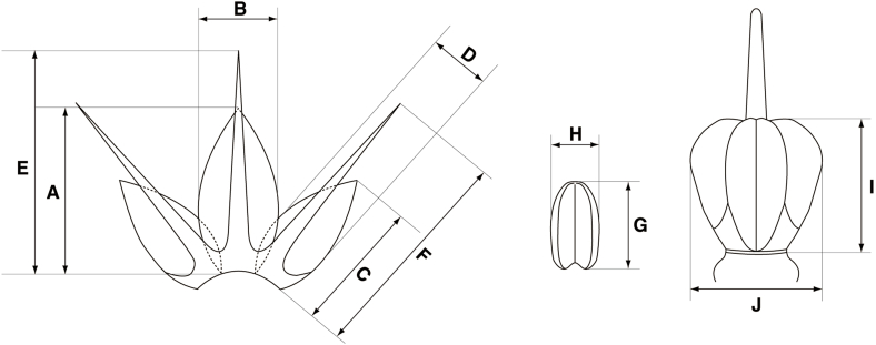 Fig. 1