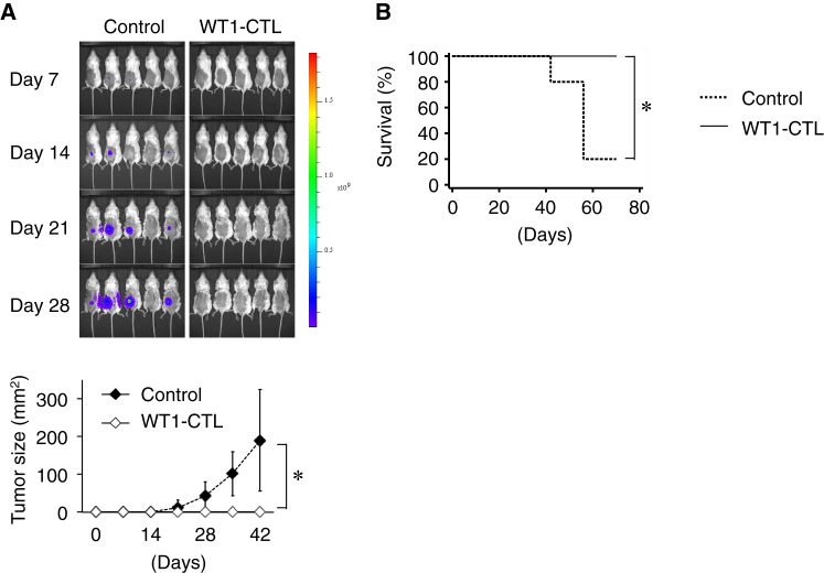 Figure 6