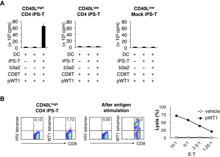 Figure 5