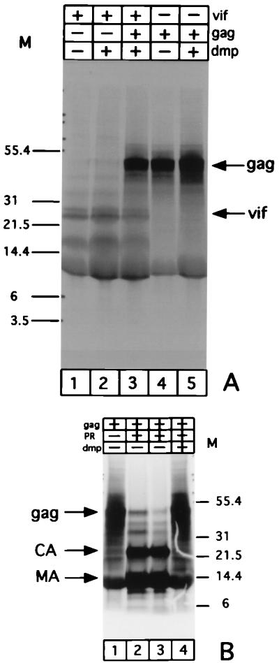 FIG. 6