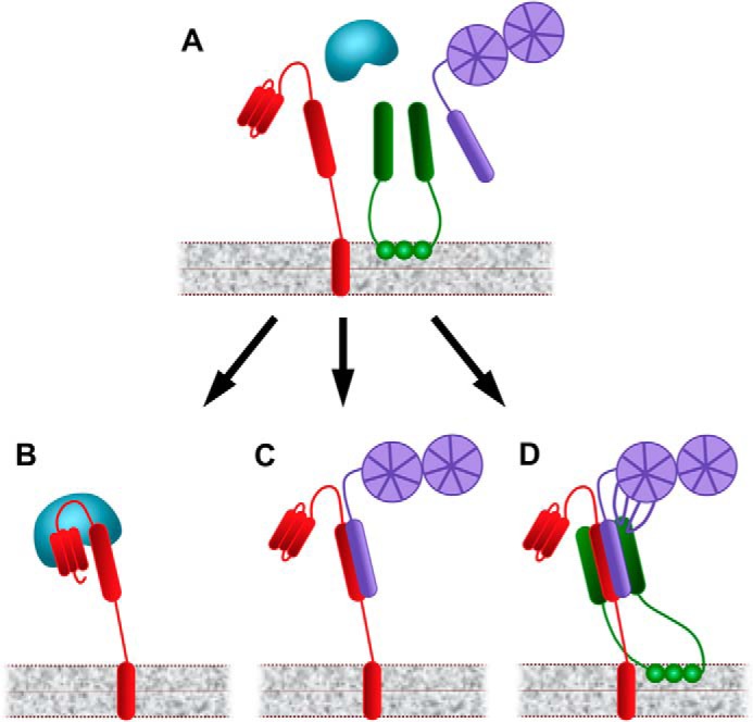 FIGURE 5.