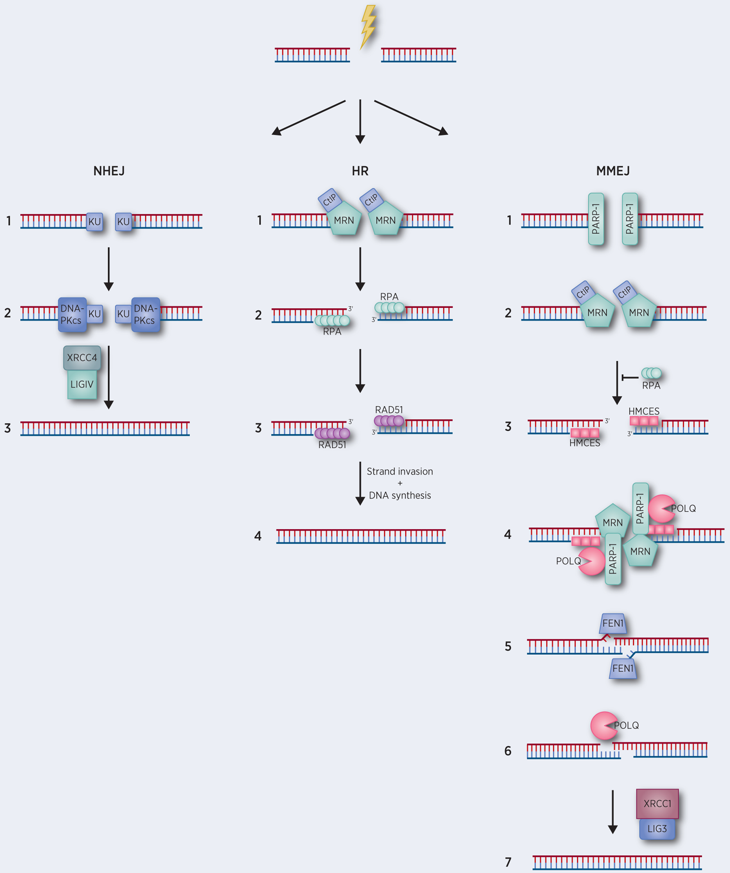 FIGURE 1: