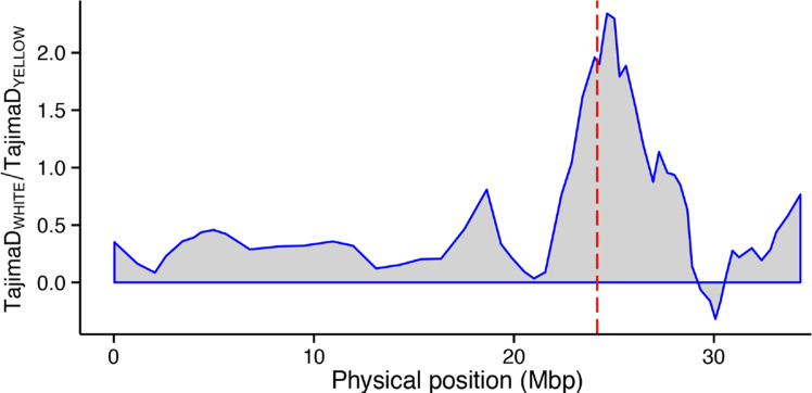 Fig. 9