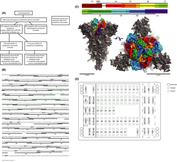 FIGURE 1