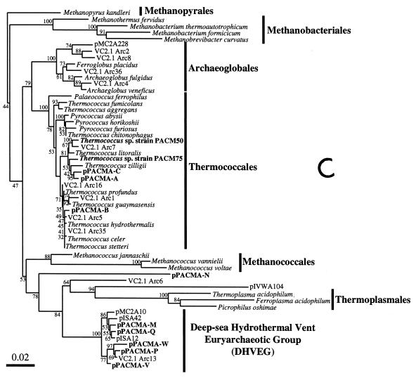 FIG. 3