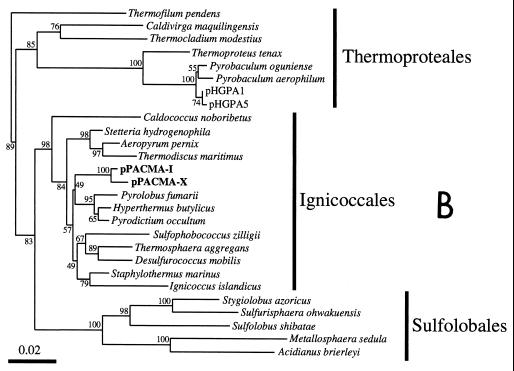 FIG. 3